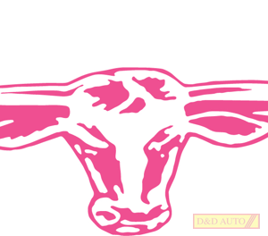 RMW STICKER PINK