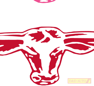RMW STICKER RED