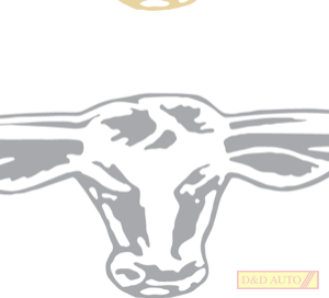 rmw sticker SILVER