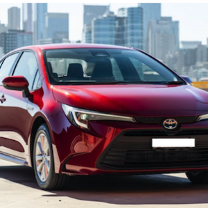 Toyota Corolla Seat Covers 9:2019